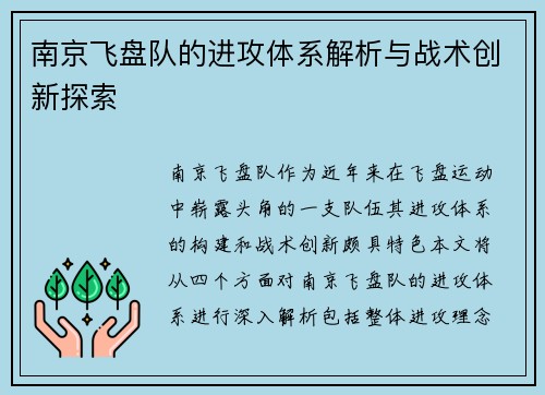 南京飞盘队的进攻体系解析与战术创新探索
